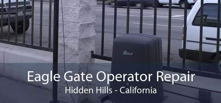 Eagle Gate Operator Repair Hidden Hills - California